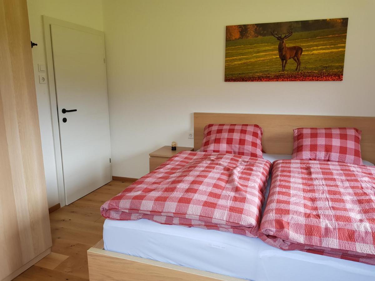 Appartment Luki Гаус-ім-Енншталь Екстер'єр фото